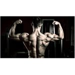 Steroid Stacks - Bulking / Cutting