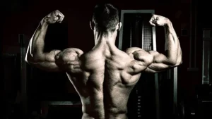 Steroid Stacks - Bulking / Cutting