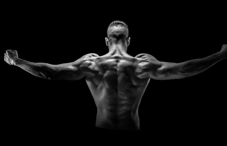 ARE SARMS BETTER THAN STEROIDS