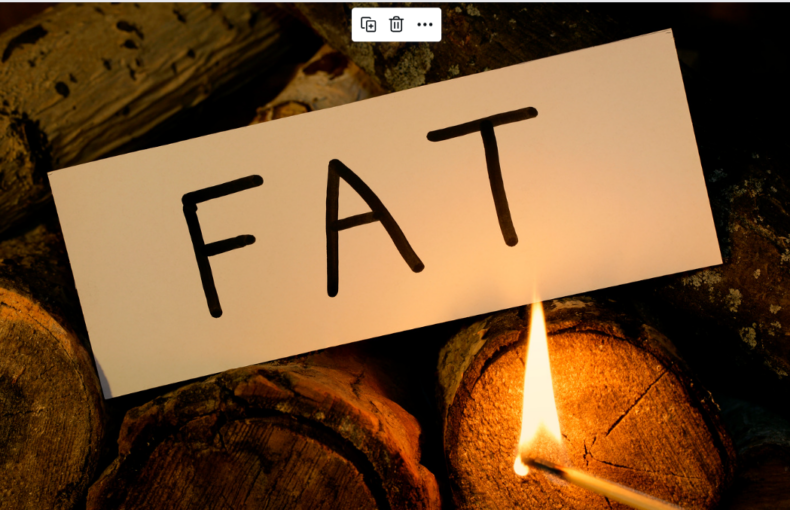 Burn Fats While Building Muscles