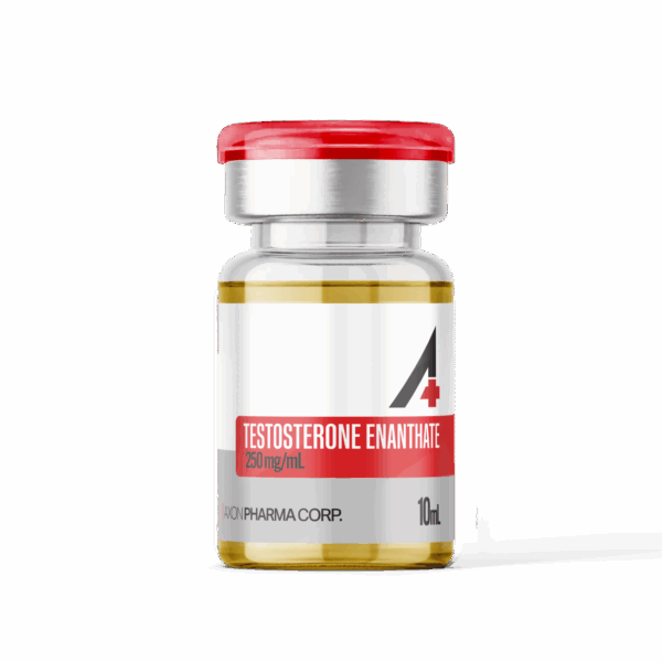 Axon Test E 250 - 10mL - 250mg/mL - Grapeseed Oil - LIMITED STOCK