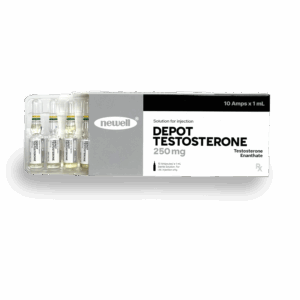 TESTOSTERONE ENANTHATE NEWELL 250MG 10 x 1ML AMPOULES (Temporary price increase while shortages in effect)
