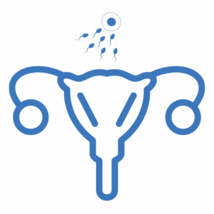 Fertility